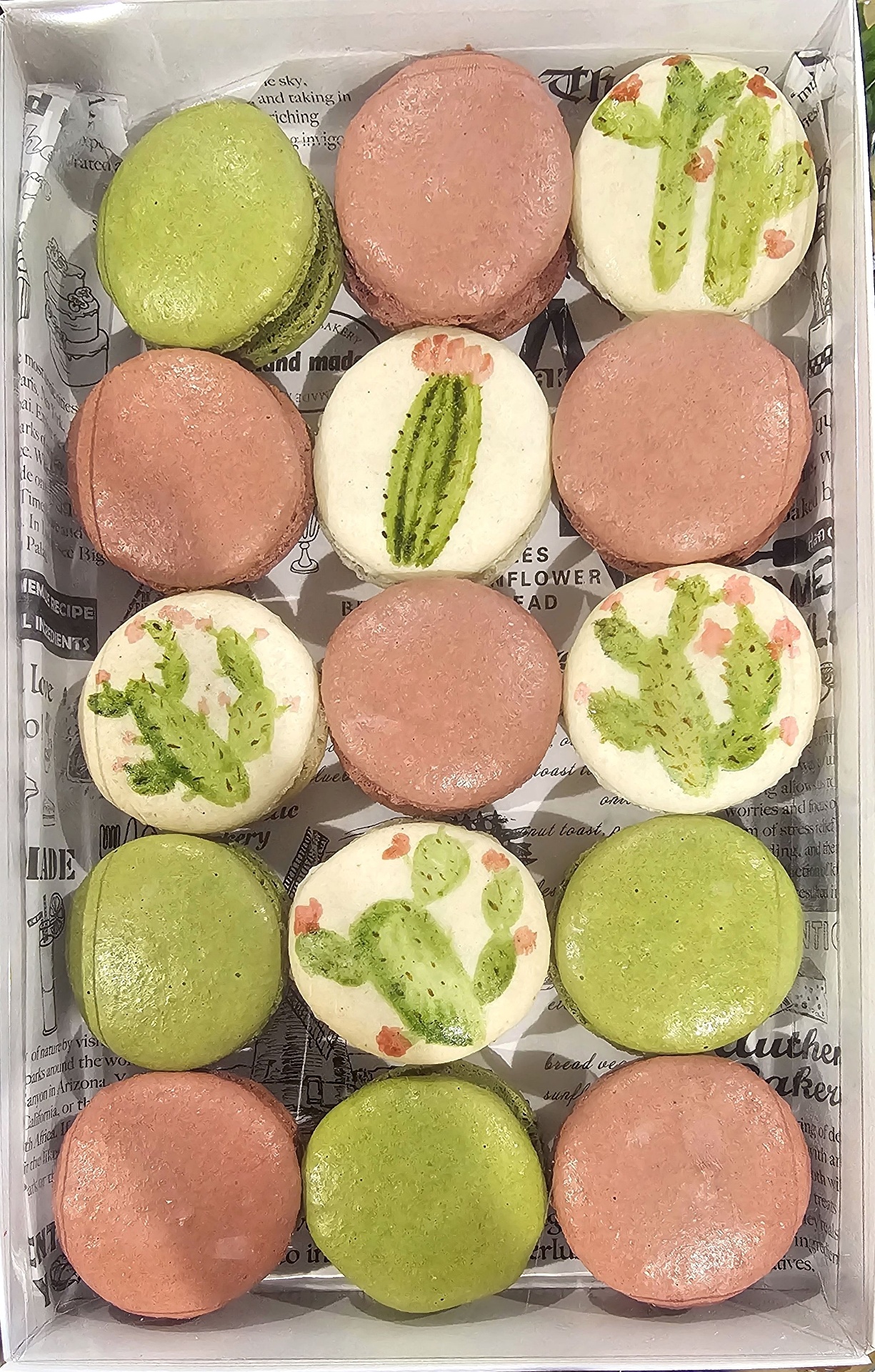 Box of hand-painted cactus macarons in green and pink