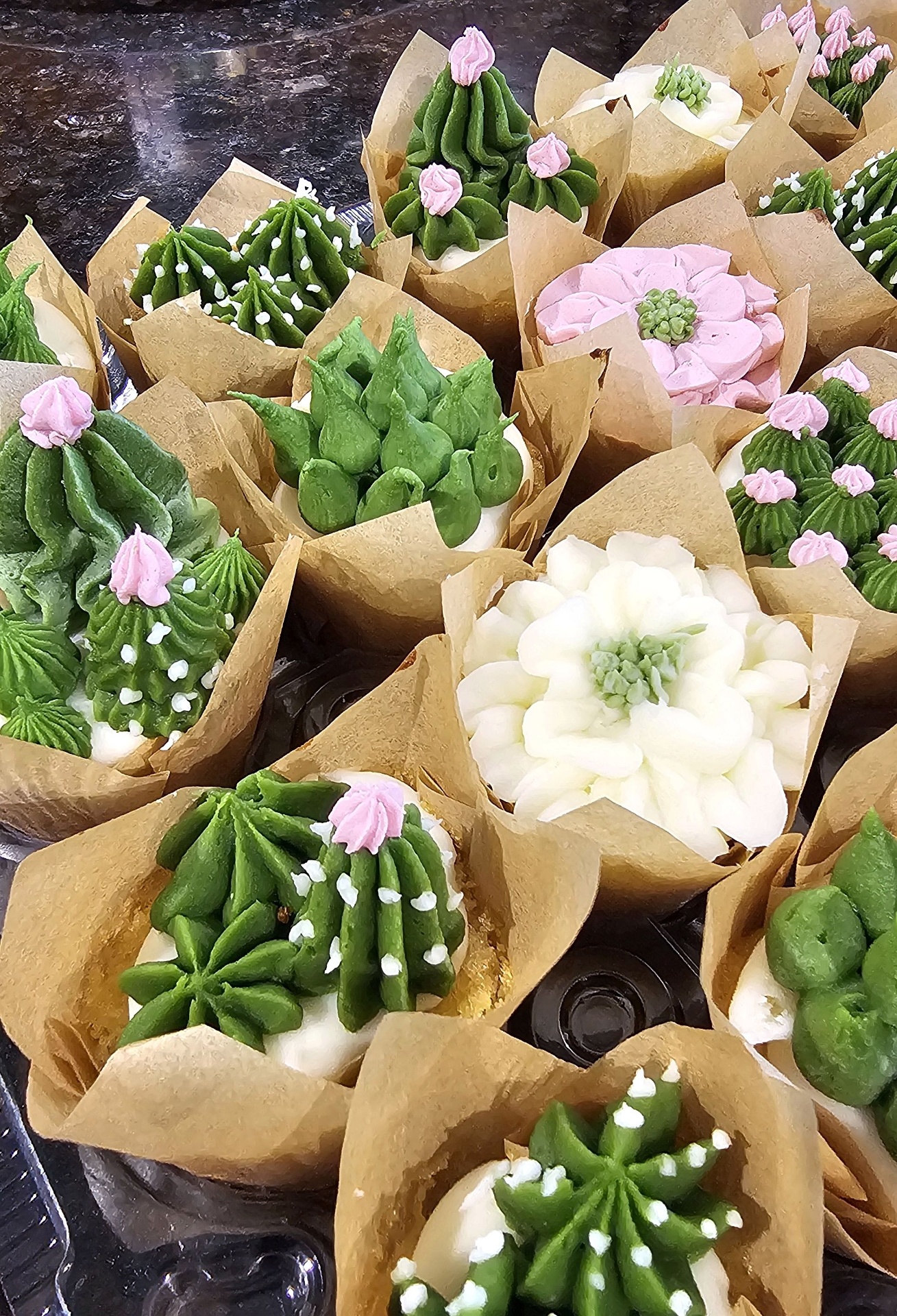 Close-up of buttercream cactus and succulent cupcakes with pink and white blooms