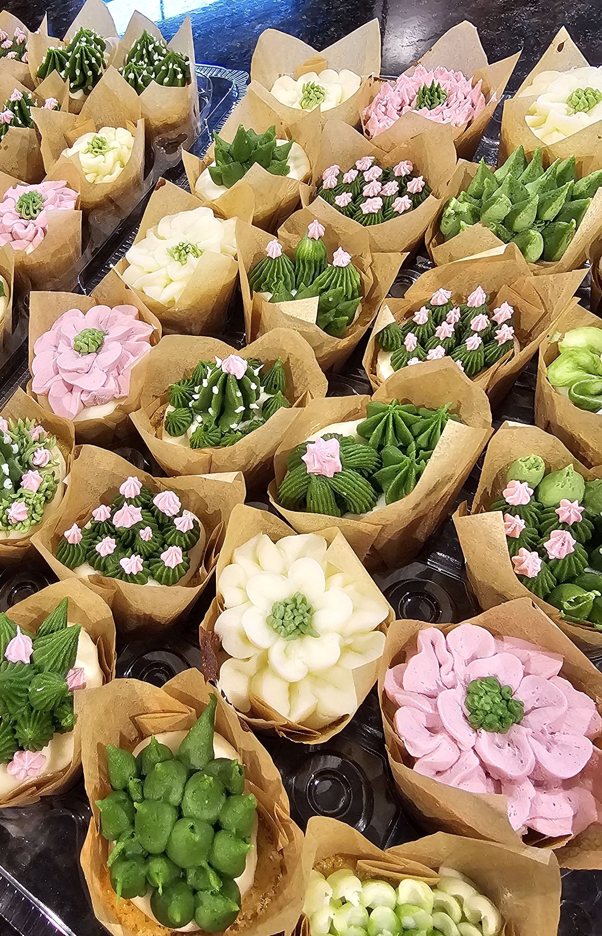 Cupcakes piped as succulents and cacti in green, pink, and cream